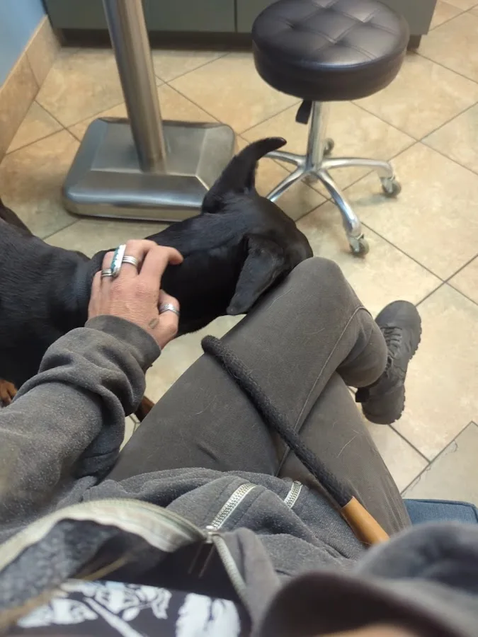 Veterinary Specialty Center Tucson