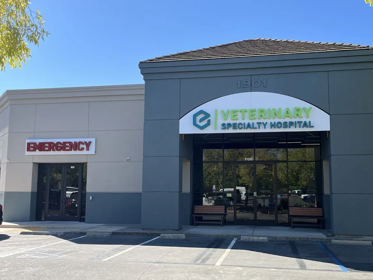 Veterinary Specialty Hospital Roseville