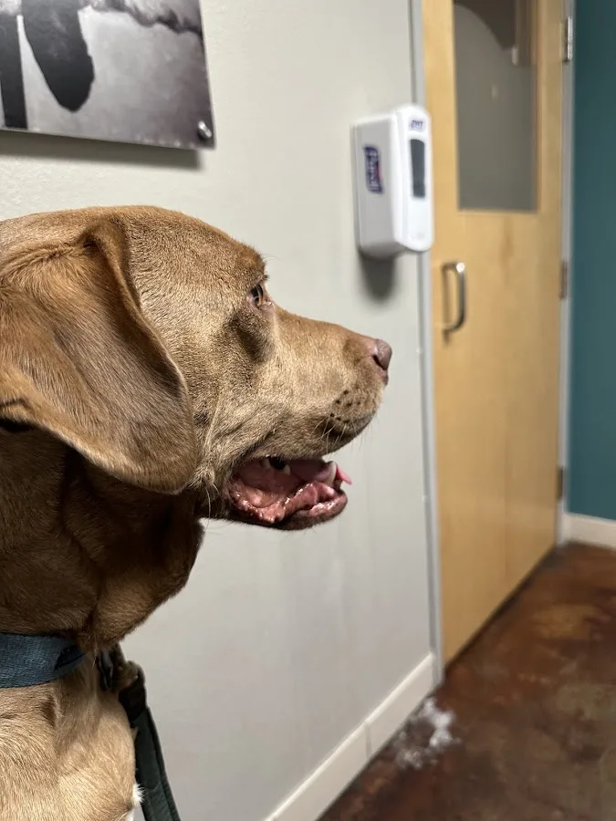 Veterinary Specialty Hospital - Sorrento Valley