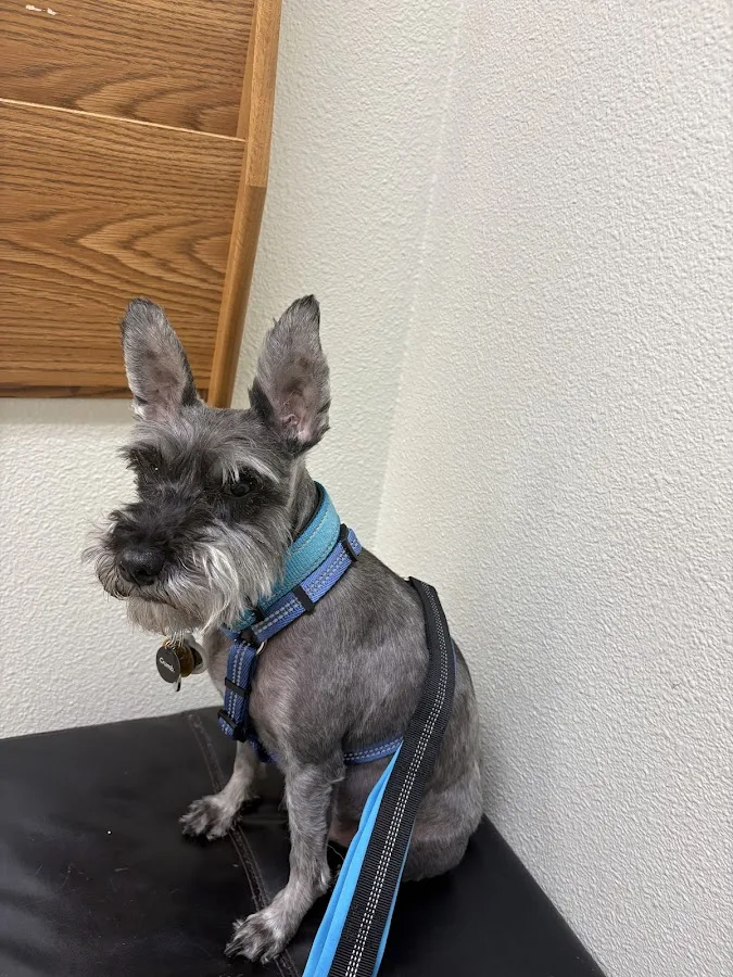 VRCC Veterinary Specialty and Emergency Hospital