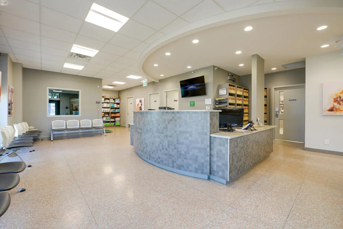 Walker Road Animal Hospital