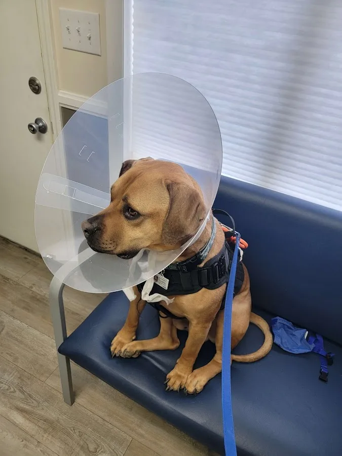 Warner Genorah L DVM