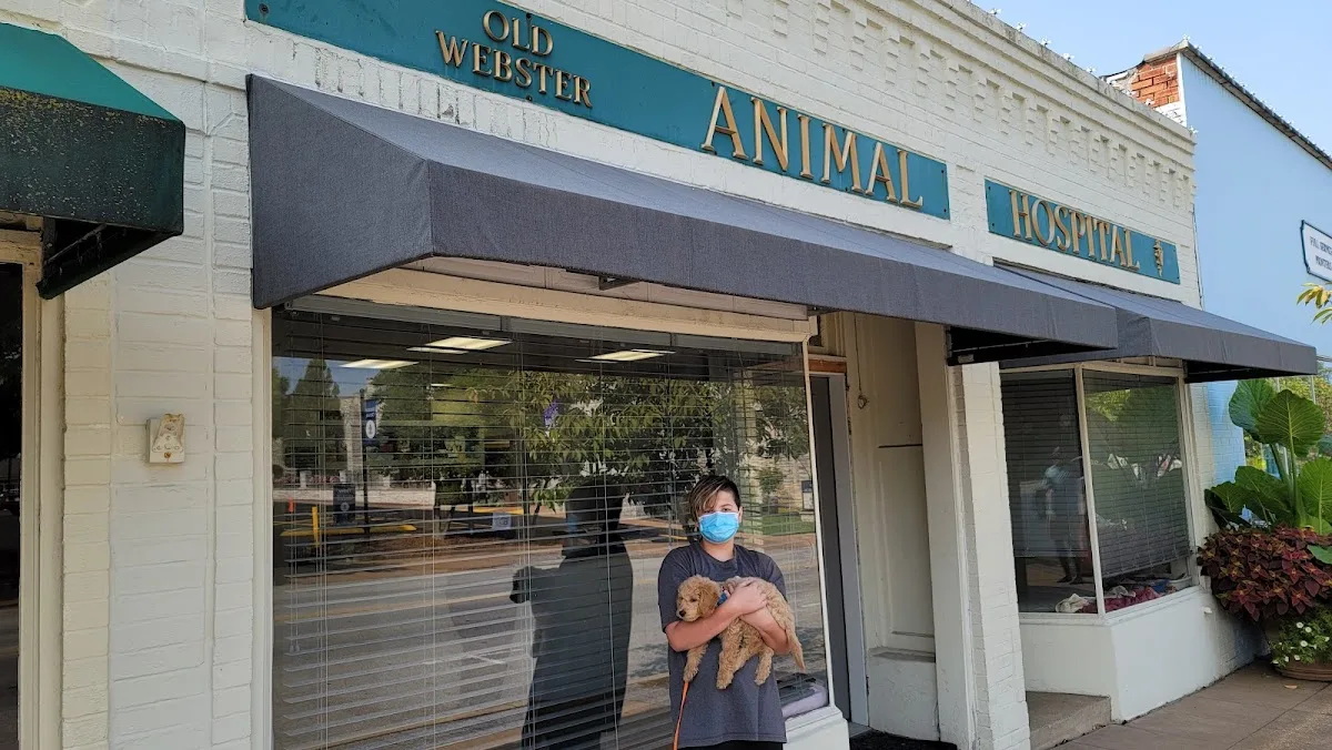 Webster Groves Animal Hospital: Nack Robert DVM