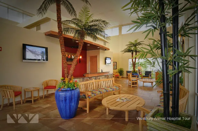 Westbury Animal Hospital