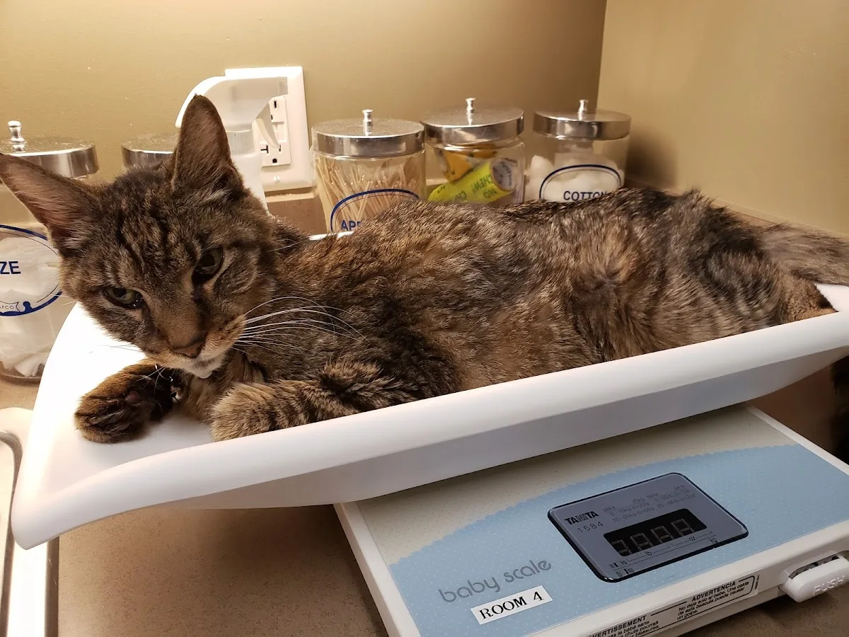 Western Carolina Regional Animal Hospital & Emergency Hospital