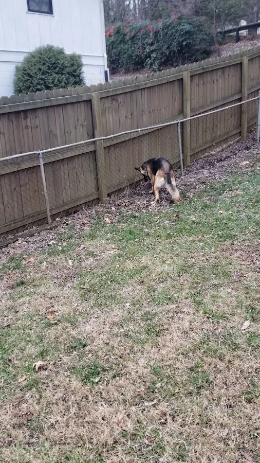 Western Carolina Regional Animal Hospital & Emergency Hospital