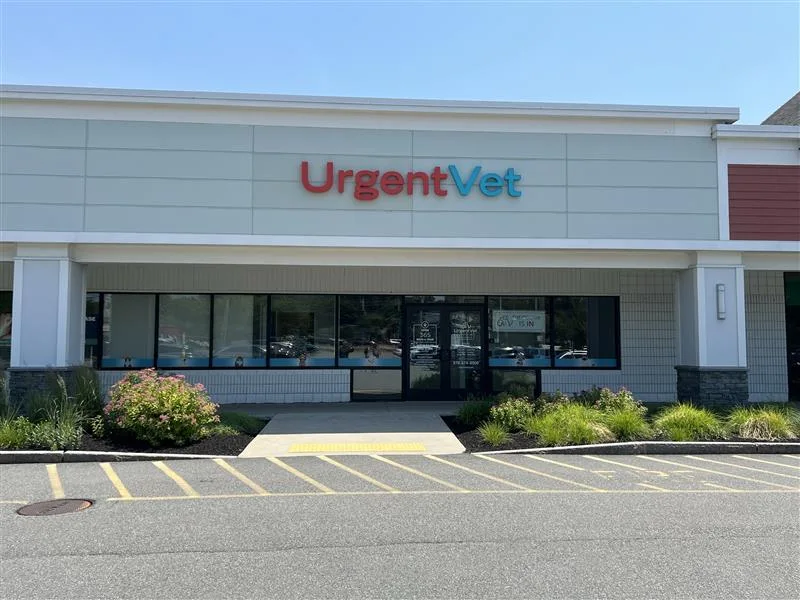 Westford Veterinary Emergency and Referral Center