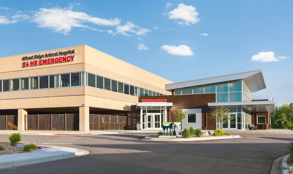 Wheat Ridge Animal Hospital primary photo