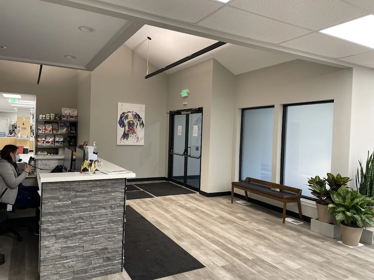 Wilvet Salem Emergency