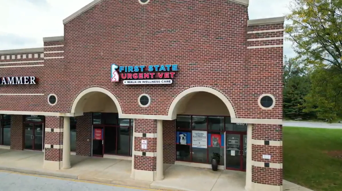 Windcrest Animal Hospital